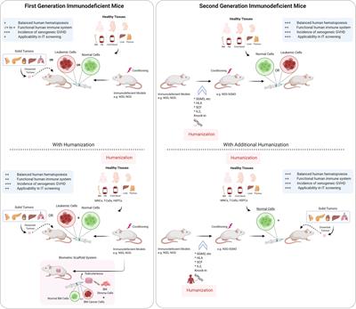 Advances in Human Immune System Mouse Models for Studying Human Hematopoiesis and Cancer Immunotherapy